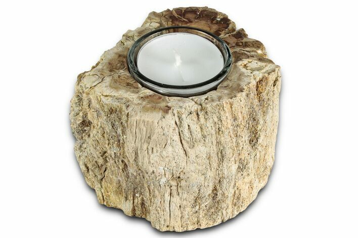 Polished Petrified Wood Candle Holder - Madagascar #337562